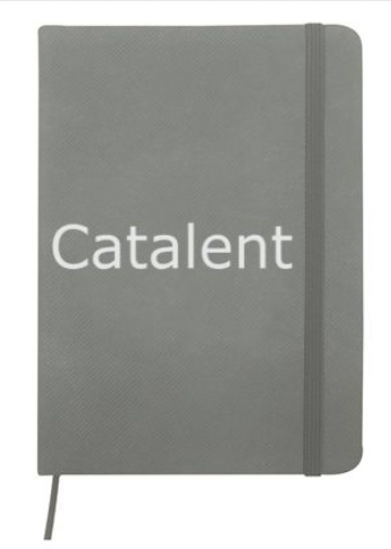 Grey Journal Book – Catalent